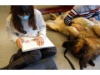 Lesehund 0122 005 1