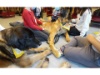 Lesehund 0122 007 1