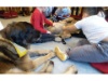 Lesehund 0122 008 1