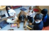 Lesehund 0122 012
