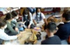 Lesehund 0122 016