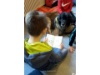 Lesehund 0122 019