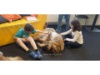 Lesehund 0421 006
