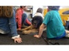 Lesehund 0421 008