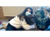 Lesehund 0122 022