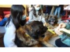 Lesehund 0122 024