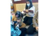 Lesehund 0122 028