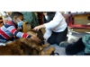Lesehund 0122 031
