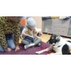 Therapiehunde Zentrum Schweiz 2022 031