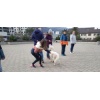 Therapie Hunde Zentrum Schweiz Lesehund 002