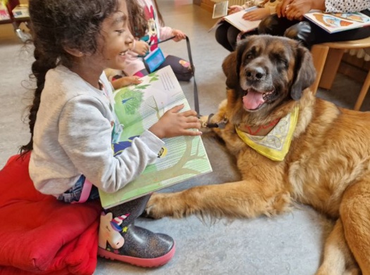 Therapie Hunde Zentrum Schweiz Lesehund 104
