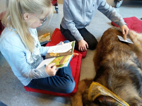 Therapie Hunde Zentrum Schweiz Lesehund 105