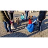 Lesehund 0123 007