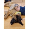 Lesehund 0123 011