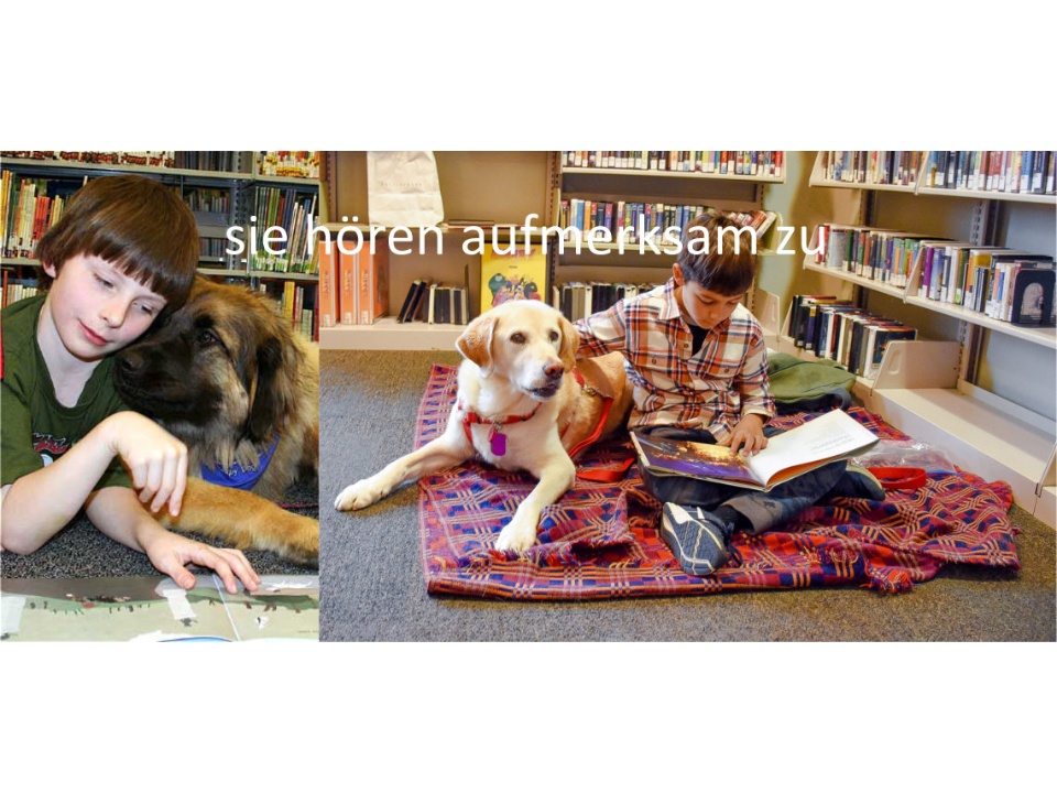 Lesehund hoeren zu
