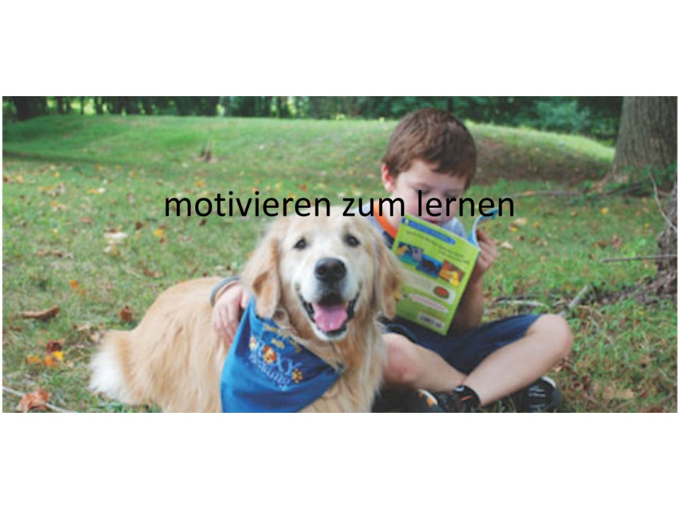 Lesehund motivieren