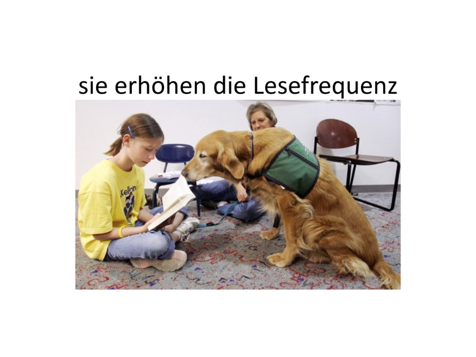Lesehunde erhoehen Lesefrequenz