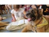 Therapie Hunde Zentrum Schweiz Lesehund 112
