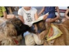 Therapie Hunde Zentrum Schweiz Lesehund 113