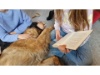 Therapie Hunde Zentrum Schweiz Lesehund 119