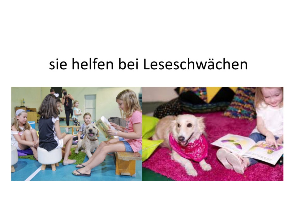 Lesehunde helfen bei Leseschwaeche