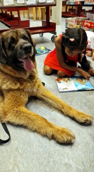 Therapie Hunde Zentrum Schweiz Lesehund 123
