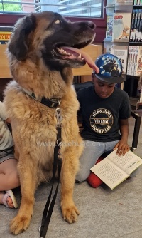 Therapie Hunde Zentrum Schweiz Lesehund 124