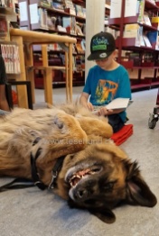 Therapie Hunde Zentrum Schweiz Lesehund 126