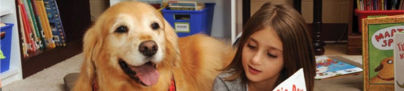 Therapie Hunde Zentrum Schweiz Lesehund 079