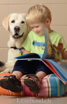 Therapie Hunde Zentrum Schweiz Lesehund 099