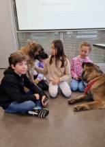 Therapie Hunde Zentrum Schweiz Lesehund 143