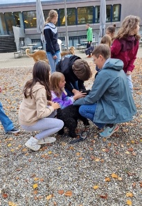 Therapie Hunde Zentrum Schweiz Lesehund 142