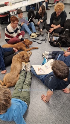 Therapie Hunde Zentrum Schweiz Lesehund 144