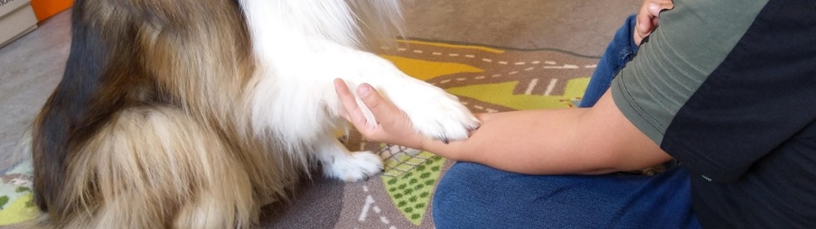 Lesehund ch 103