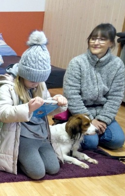 Lesehund 1121 006