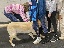 NZ Maeg 1124 038