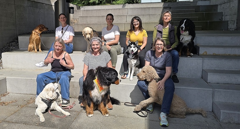 Lesehund Schulhund Ausbildung 0426 001